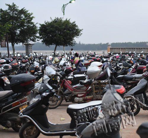 泉州惠安養殖基地油蛤遭近2000人哄搶