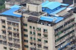 武漢樓頂違建鴿舍 就不怕禽流感嗎