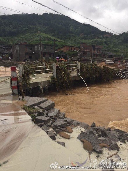 溫州蘇迪羅臺風(fēng)災(zāi)情