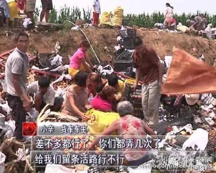 20噸蘋果遭哄搶