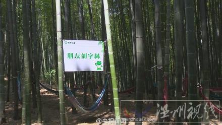 四川竹海開設景區紀念竹林