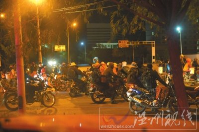 黑枸杞遭強行盜采人員集結出發