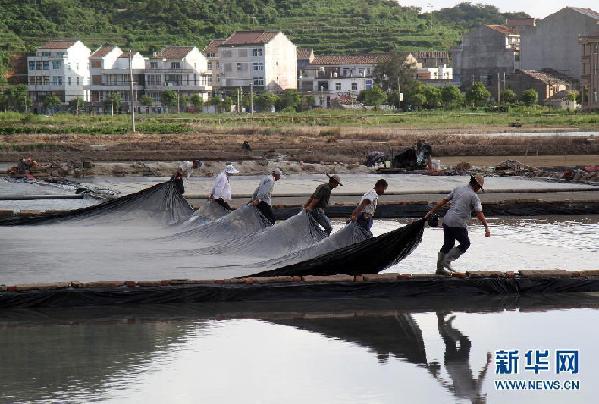 臺風天鵝影響浙江