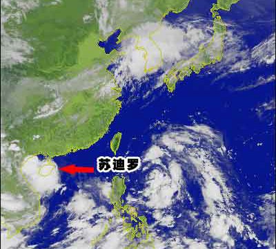 “蘇迪羅”前世溫柔似貓 今生或兇猛如虎