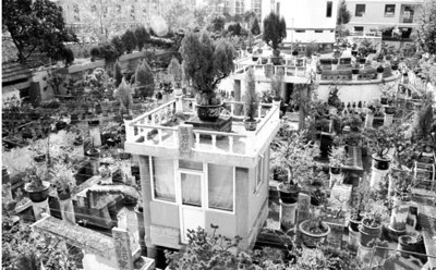 上海私人博物館遭強(qiáng)拆