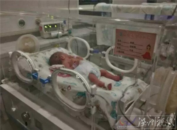 剛出生的寶寶在保溫箱內(nèi)