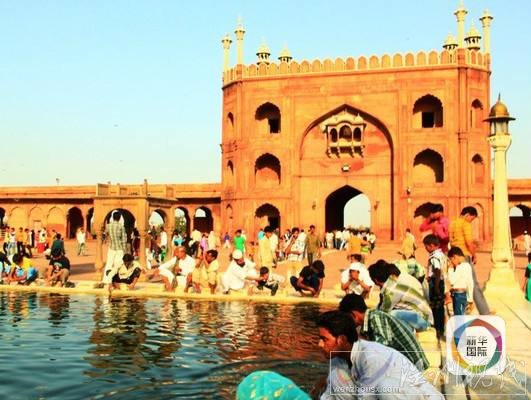 印度臟亂差的環境根本不適合旅游