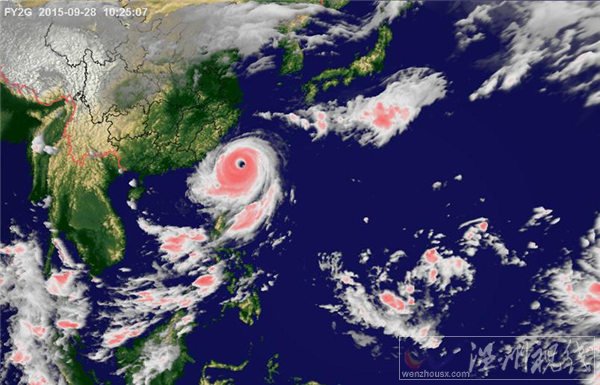 杜鵑影響韓國嗎