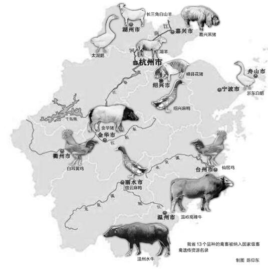 平陽縣騰蛟鎮李挺志水牛養殖場 溫州水牛飼養獲補助