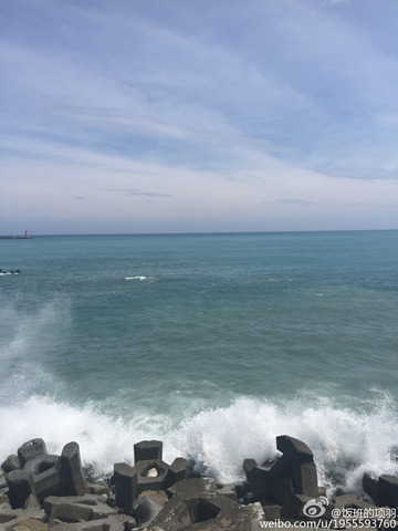 杜鵑登陸臺(tái)灣