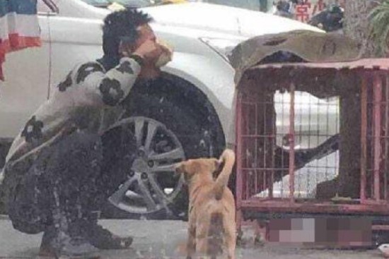 男子將狗糧吃光