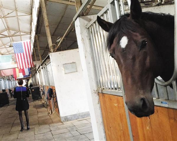 女童學(xué)馬術(shù)墜亡