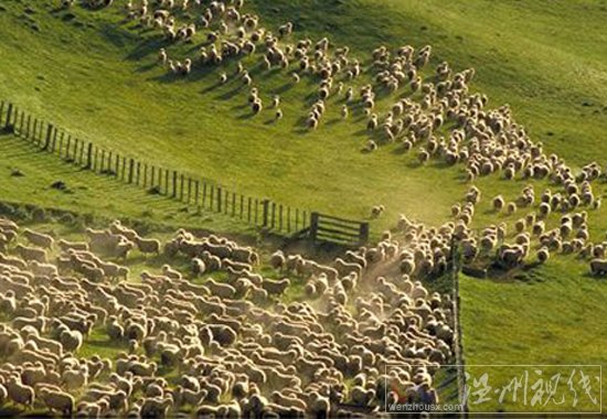 中國財團買下澳洲一個浙江省大的土地