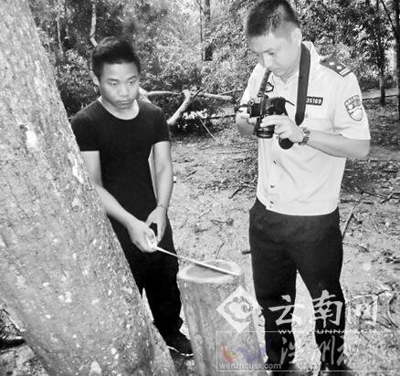 植物園珍貴木種被盜