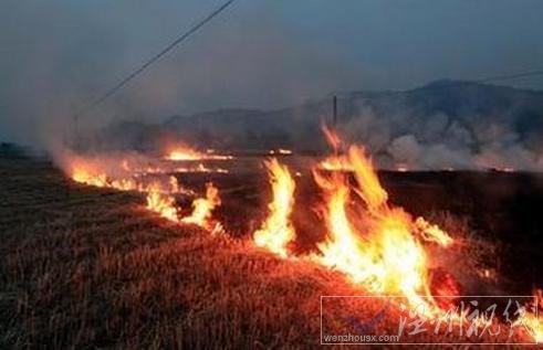 因焚燒秸稈引發的全國霧霾