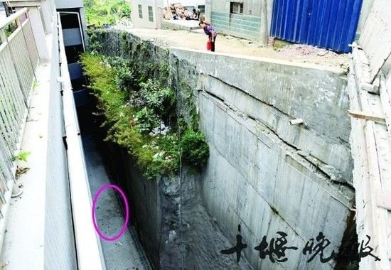 17歲女生走路玩手機摔死