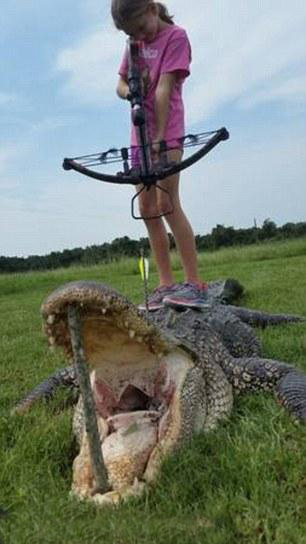 女孩弓弩獵鱷魚