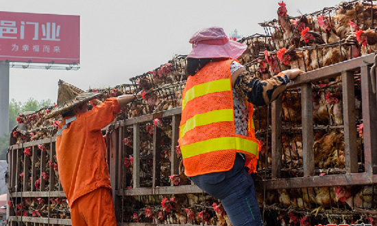 服務區清潔工搶雞蛋