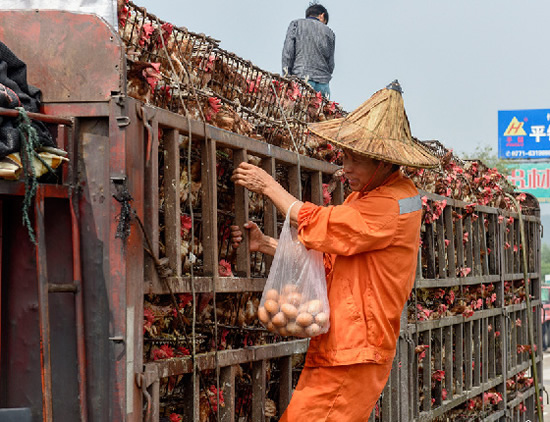服務區清潔工搶雞蛋