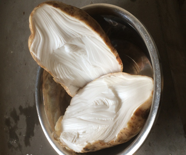 太歲是什么東西