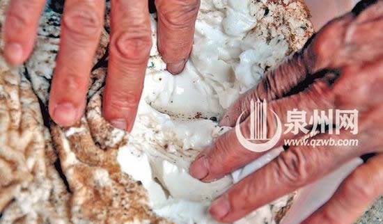 太歲是什么東西