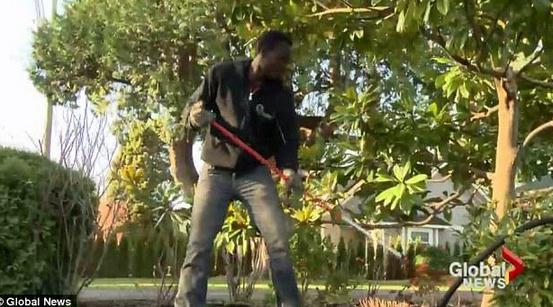 環(huán)衛(wèi)工辭職當(dāng)國王