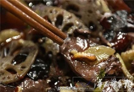 成都餐館飯菜中吃出蟲蛹