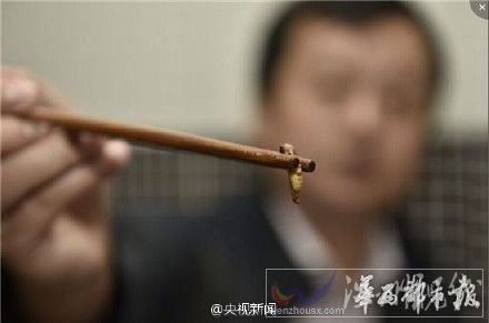 毛血旺中吃出一個(gè)蟲蛹