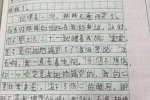 小學生心酸作文 媽媽生二胎后對老大缺少關愛