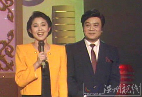 趙忠祥揭春晚一審 細節