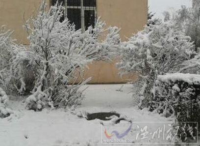 學生受傷被凍死