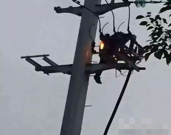 吵架爬電線桿觸電