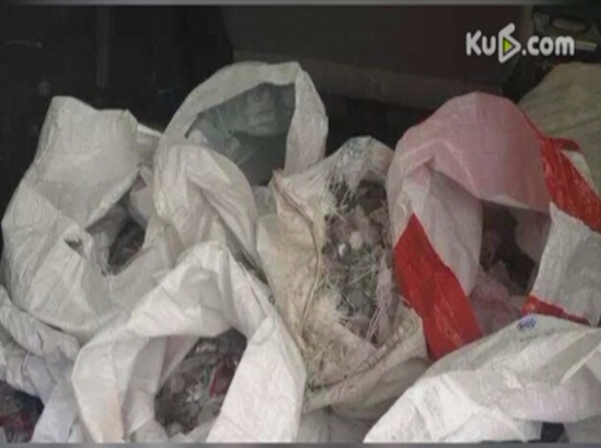 500斤母愛！單親媽媽扛500斤硬幣為女兒買房