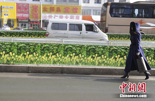 長春街頭現仿真綠化帶