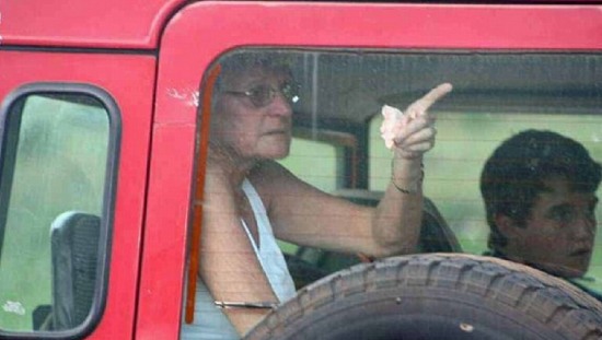 游覽車遭獅群圍攻