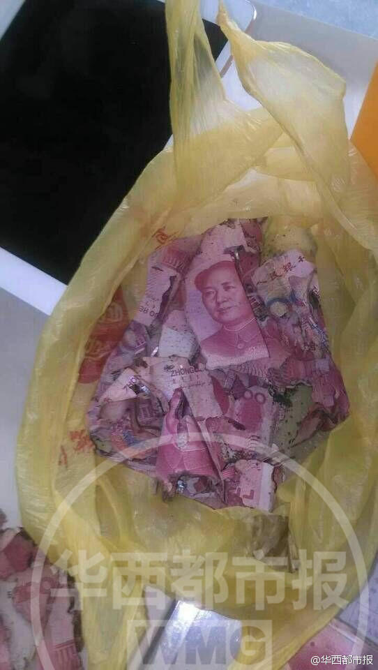 大爺現金埋地下