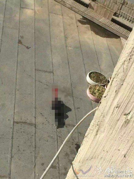 大東區國瑞城有人跳樓了