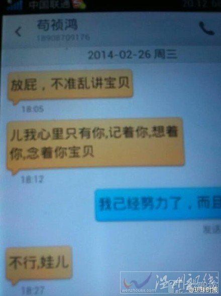 云南茍禎鴻被調查