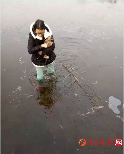 學生跳冰湖救野兔