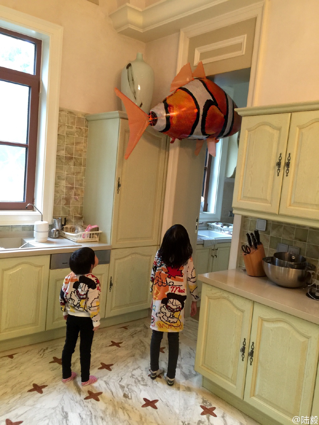 陸毅豪宅內景曝光