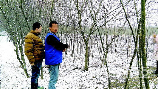 工人遭搶被綁樹上凍死