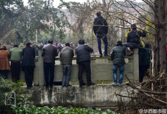 市民打撈墜河出租