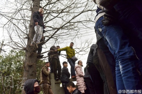 市民打撈墜河出租