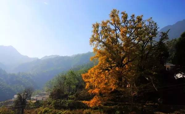 富豪讓兒子去農村體驗貧窮