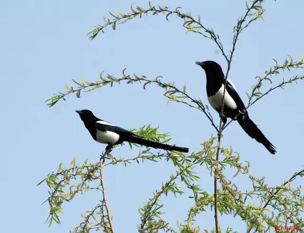 富豪讓兒子去農村體驗貧窮