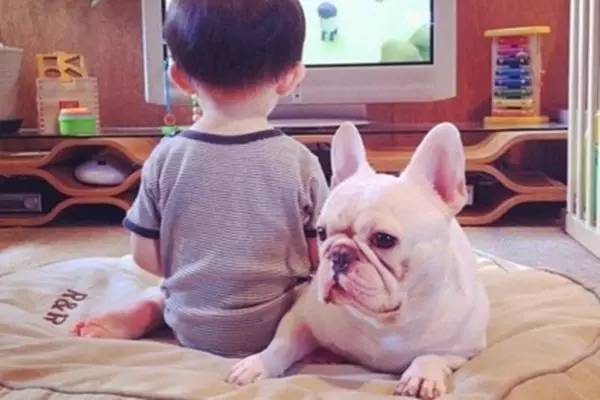 富豪讓兒子去農村體驗貧窮