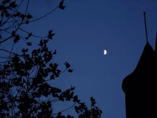 富豪讓兒子去農村體驗貧窮