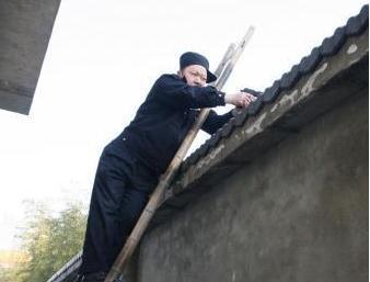 藏獒發瘋咬傷主人