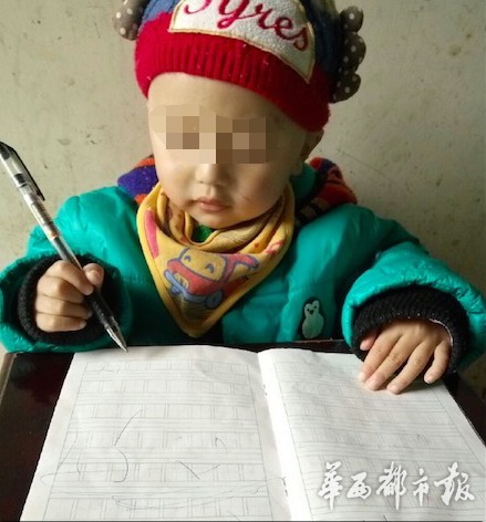 李小璐遭網絡詐騙