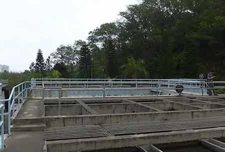 凈水廠現四腳魚